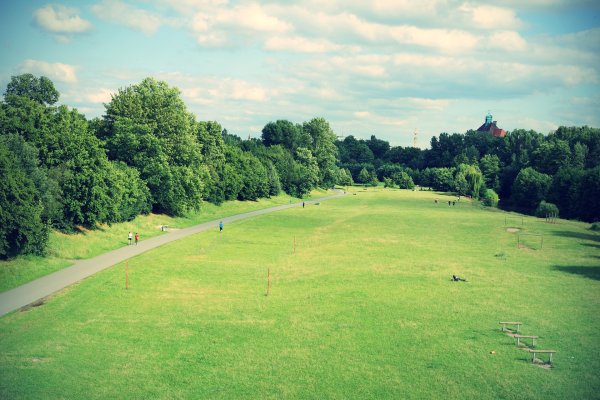 Луг в парке