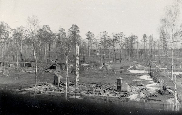 Урицк Полежаевский парк