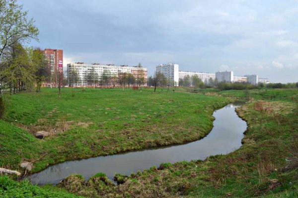 Речка Ивановка Красносельский район