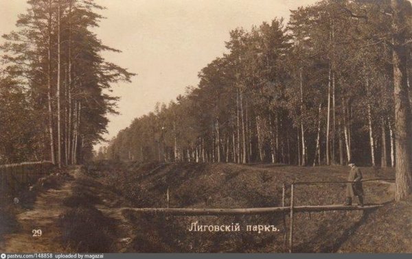 Лигово Полежаевский парк до революции