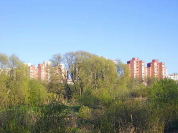 Чекистов Полежаевский парк