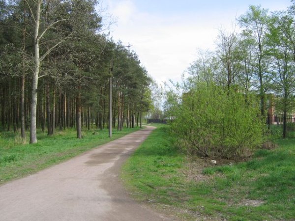 Полежаевский парк аллея славы