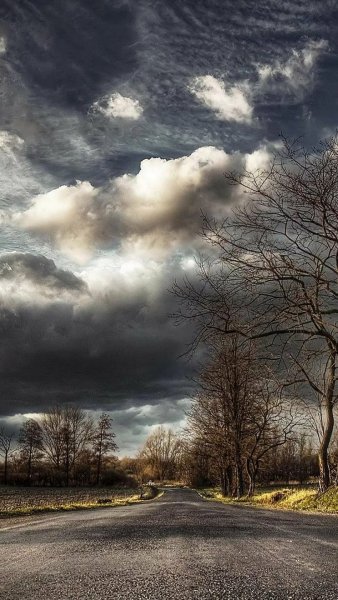 Природа пасмурно