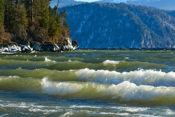 Яйлю берег Телецкого