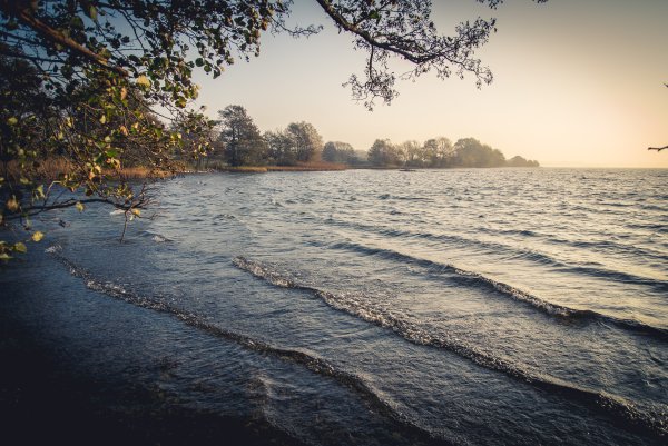 Волны на реке