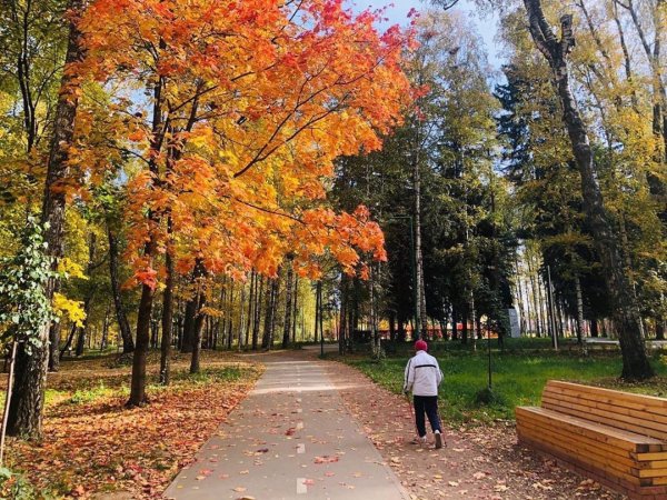 Аллея в Арзамасе