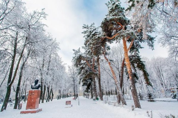 Парк Гайдара Арзамас зимой