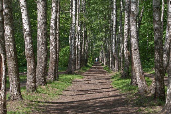 Лосиноостровский заповедник