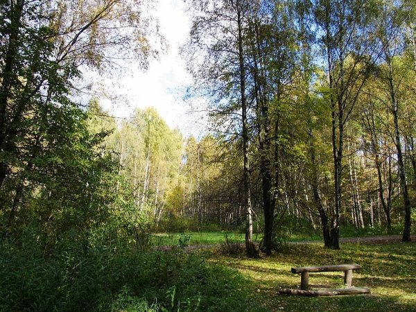 Парк Лосиный остров Богородское