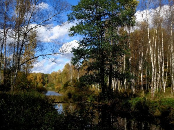 Лосиный остров национальный парк