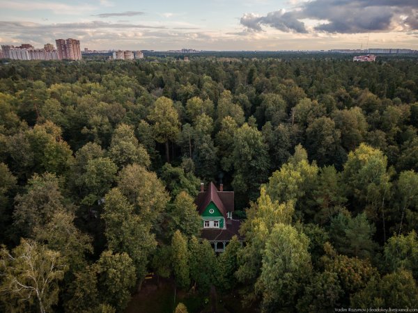 Алексеевский лесопарк Лосиный остров