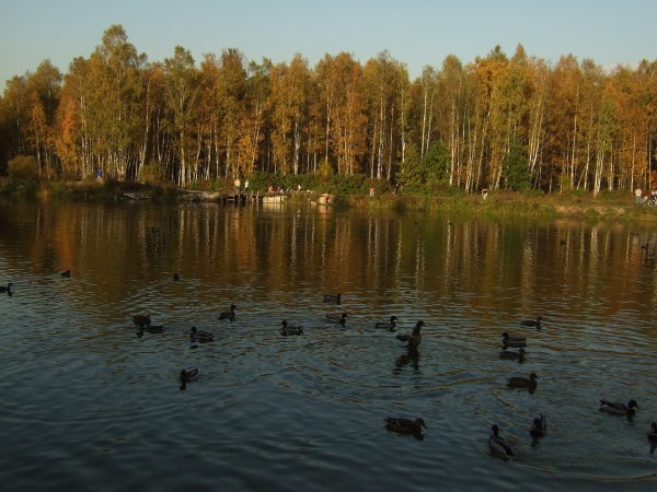 Парк Лосиный остров