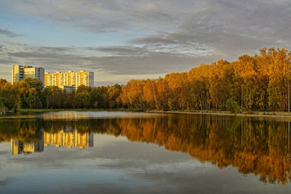 Золото осень пруд парк