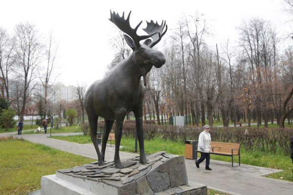 Скульптура лося в парке Торфянка