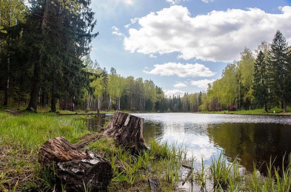 Парк Лосиный остров Москва