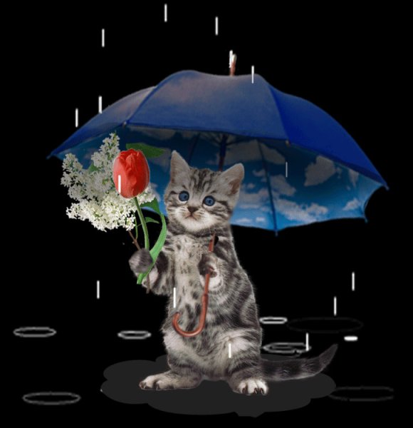 Спокойной дождливой ночи