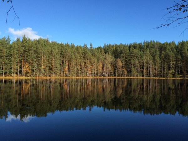 ЛЕНОБЛАСТЬ черные озера