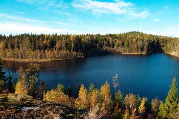 Треугольное озеро Ленинградская область