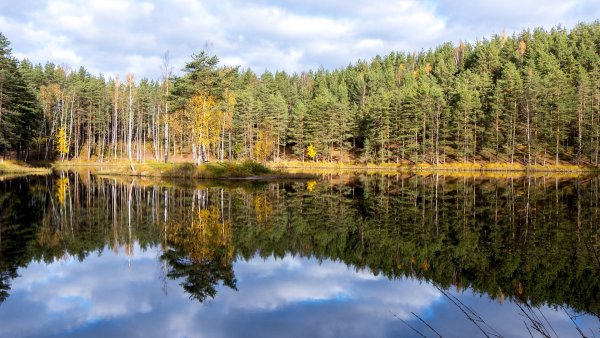 Семиозерье Ленинградская область