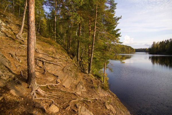 Памятники природы Ленинградской области