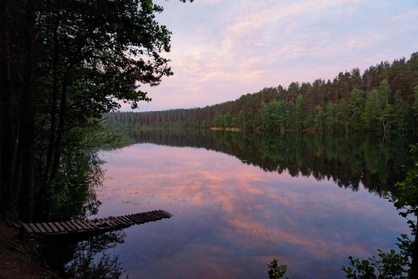 Озеро туманное Приозерский район