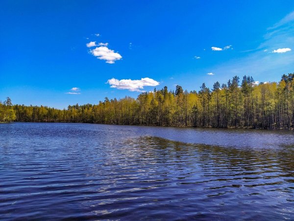 Озеро Боручье Окуловский район
