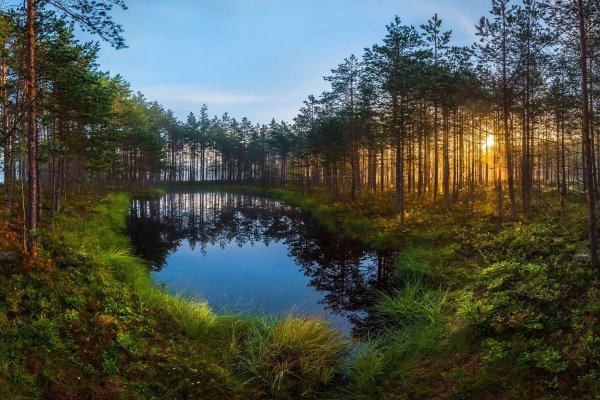 Озеро в Сосновом Бору Ленинградская область