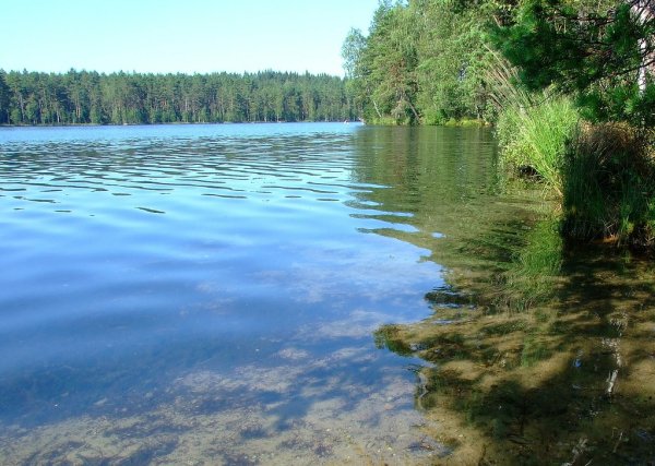 Невское озеро Ленинградская