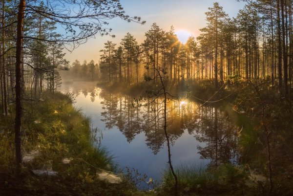 Федор Лашков Ленинградская область