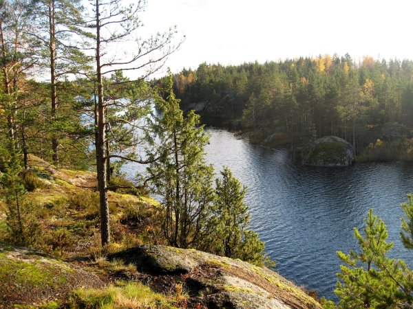 Озеро светлое Ленинградская область Приозерский
