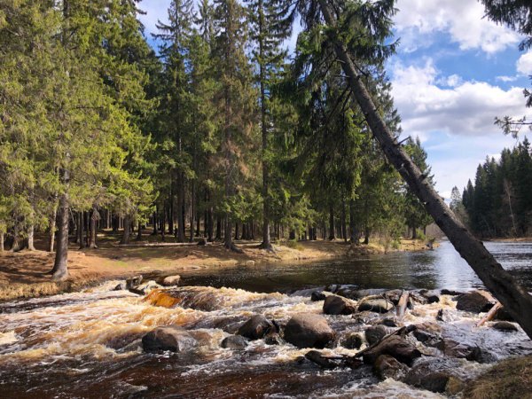 Река Вуокса Ленинградской