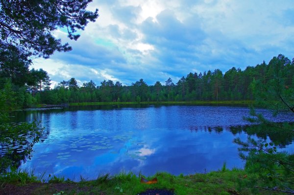 Озеро синее Приозерский район
