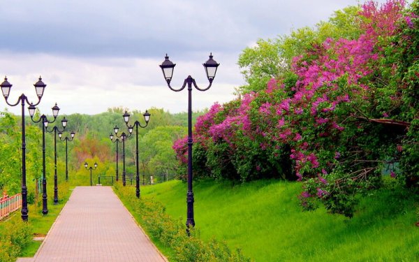 Аллея Оренбурга