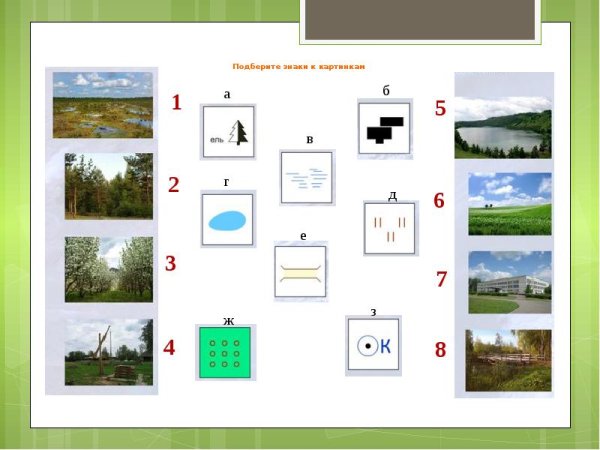 Топографическое изображение леса