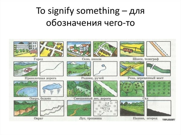 Условные знаки географических карт 5 растительность