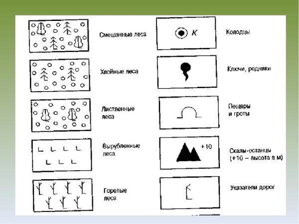 Смешанный лес обозначение на топографической карте