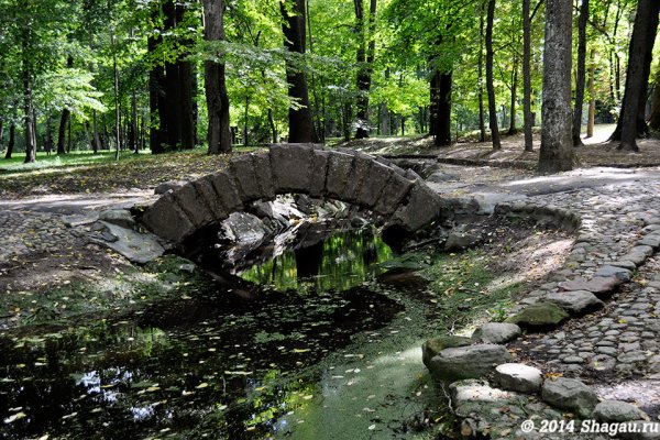 Санаторский пруд Шишкин лес