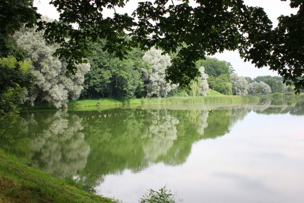 Лесопарк Альба в Несвиже