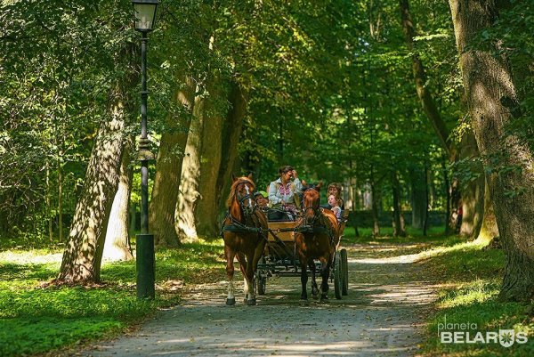 Древний парк в Белоруссии