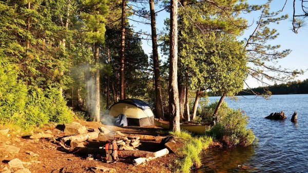 Палатка в лесу