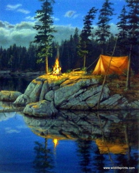 Художник Даррел Буш (Darrell Bush)