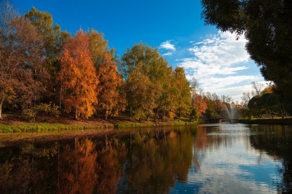 Парк врз Вологда