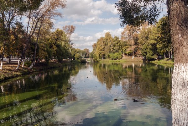 Кремлевский парк Вологда