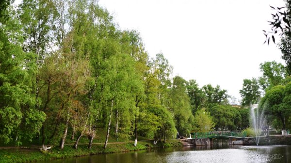 Парк врз Вологда