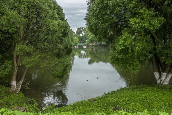 Парк врз Вологда