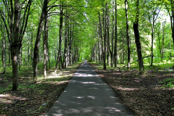 Парк врз Вологда