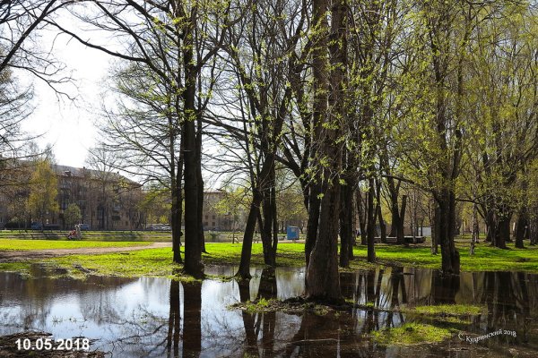 Парк ветеранов Вологда пруд