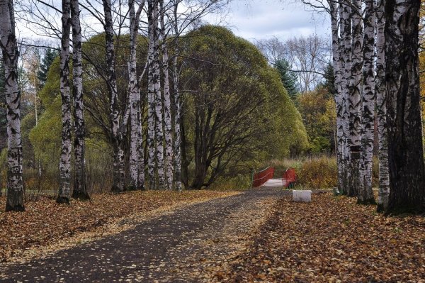 Парк мира Вологда осень