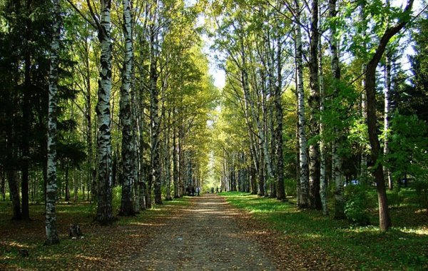 Парк мира Вологда