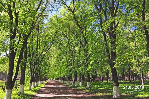 Аллея в городе Вологда